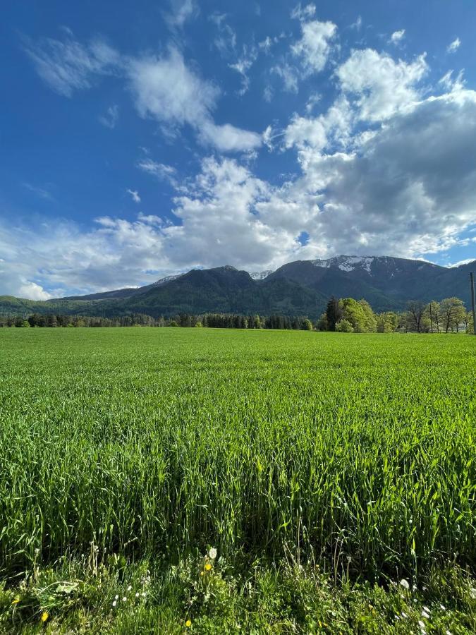 Ferienwohnung Igerc Feistritz ob Bleiburg エクステリア 写真